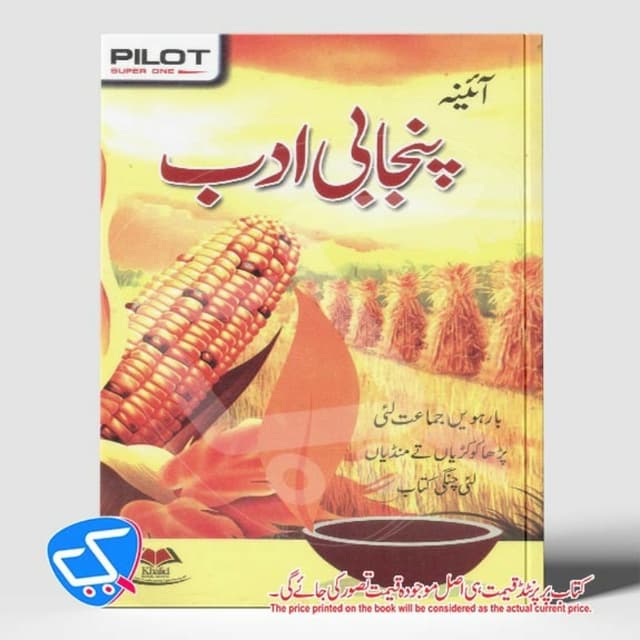 پنجابی ادب